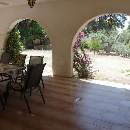 ניקיטי Chalkidiki Beachfront Haven - Perfect Location מראה חיצוני תמונה
