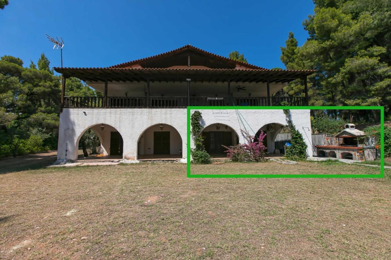 ניקיטי Chalkidiki Beachfront Haven - Perfect Location מראה חיצוני תמונה